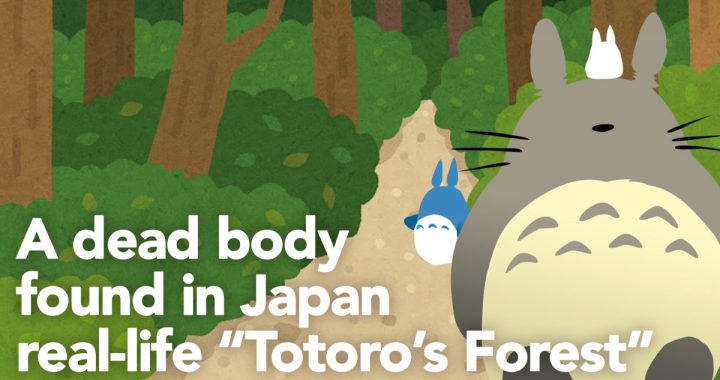 A dead body has been found in "Totoro's Forest"