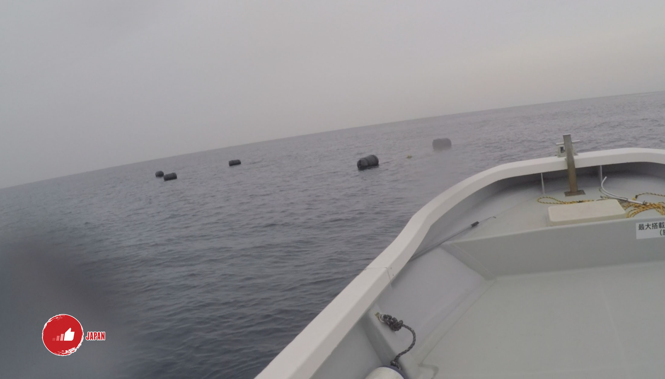沖繩浮潛及鯨鯊體驗