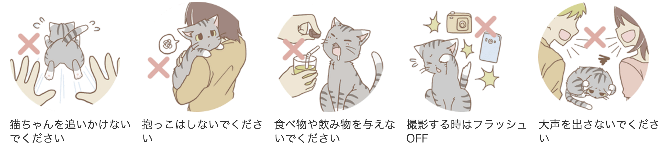 貓迷注意！原宿貓貓Cafe《MoCHA》開幕！