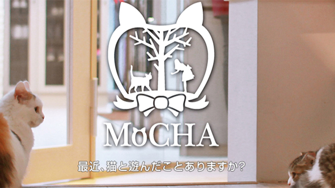 貓迷注意！原宿貓貓Cafe《MoCHA》開幕！