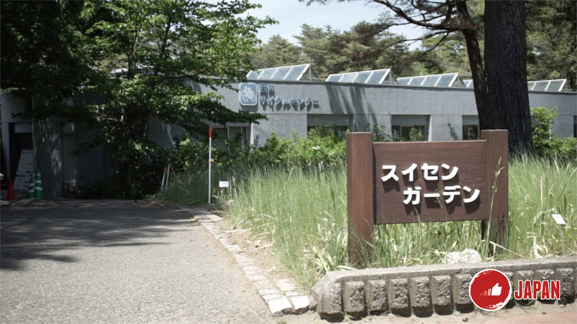 【貝遊日本】日本關東賞花花（三）日立海濱公園藍花海