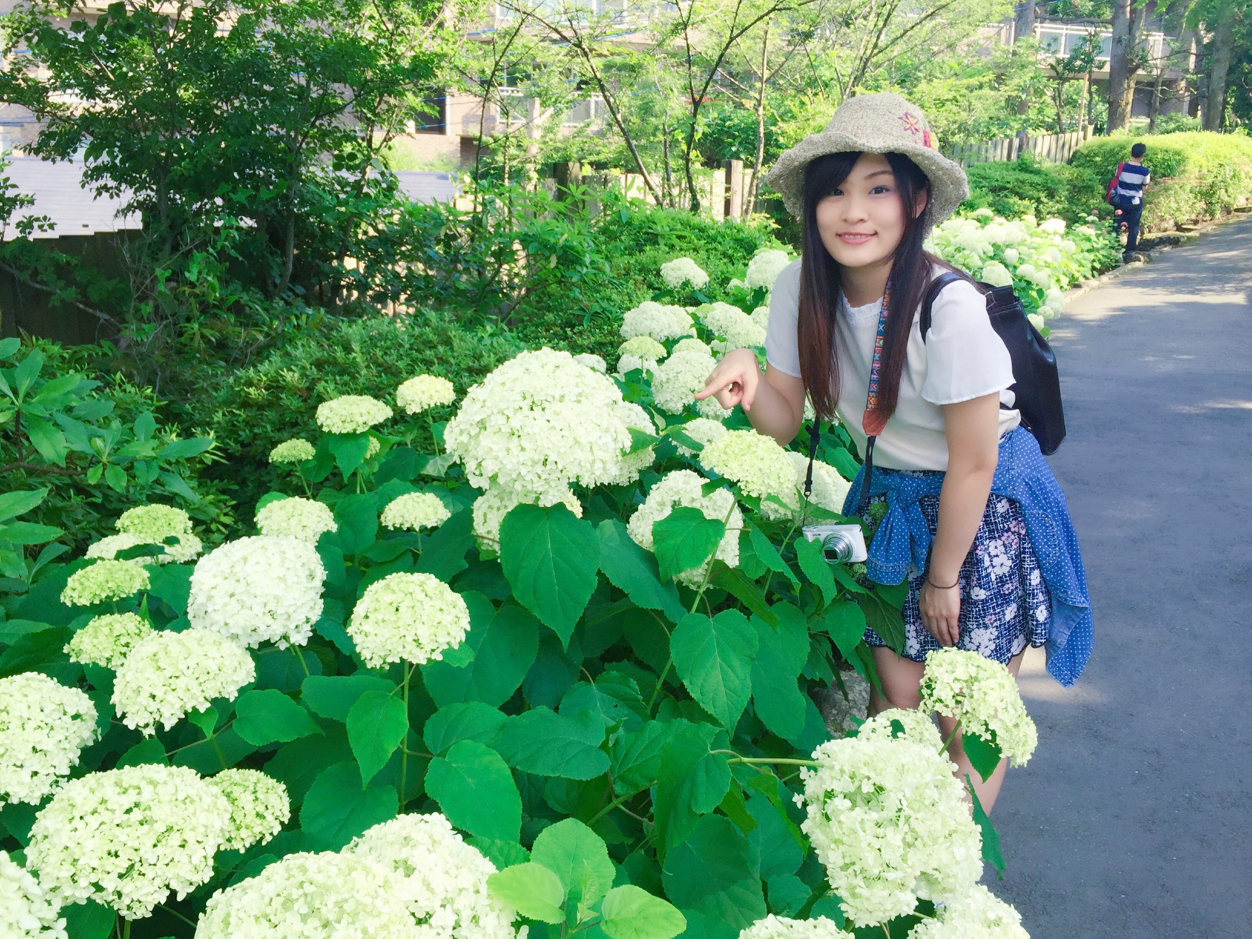 箱根強羅公園 靚到揼一聲嘅花花世界