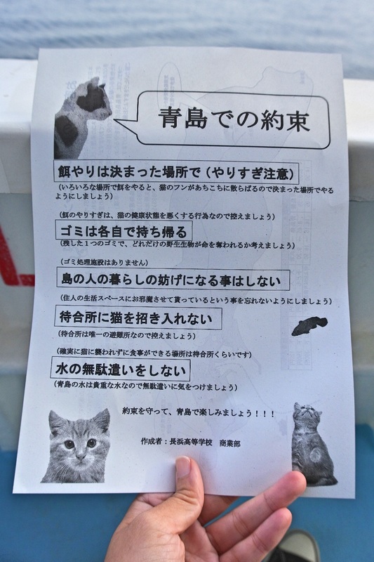 【遊記】日本．愛媛．貓島