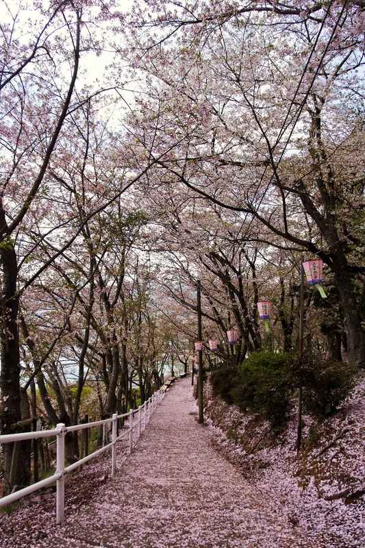 【遊記】日本．廣島．正福寺山公園