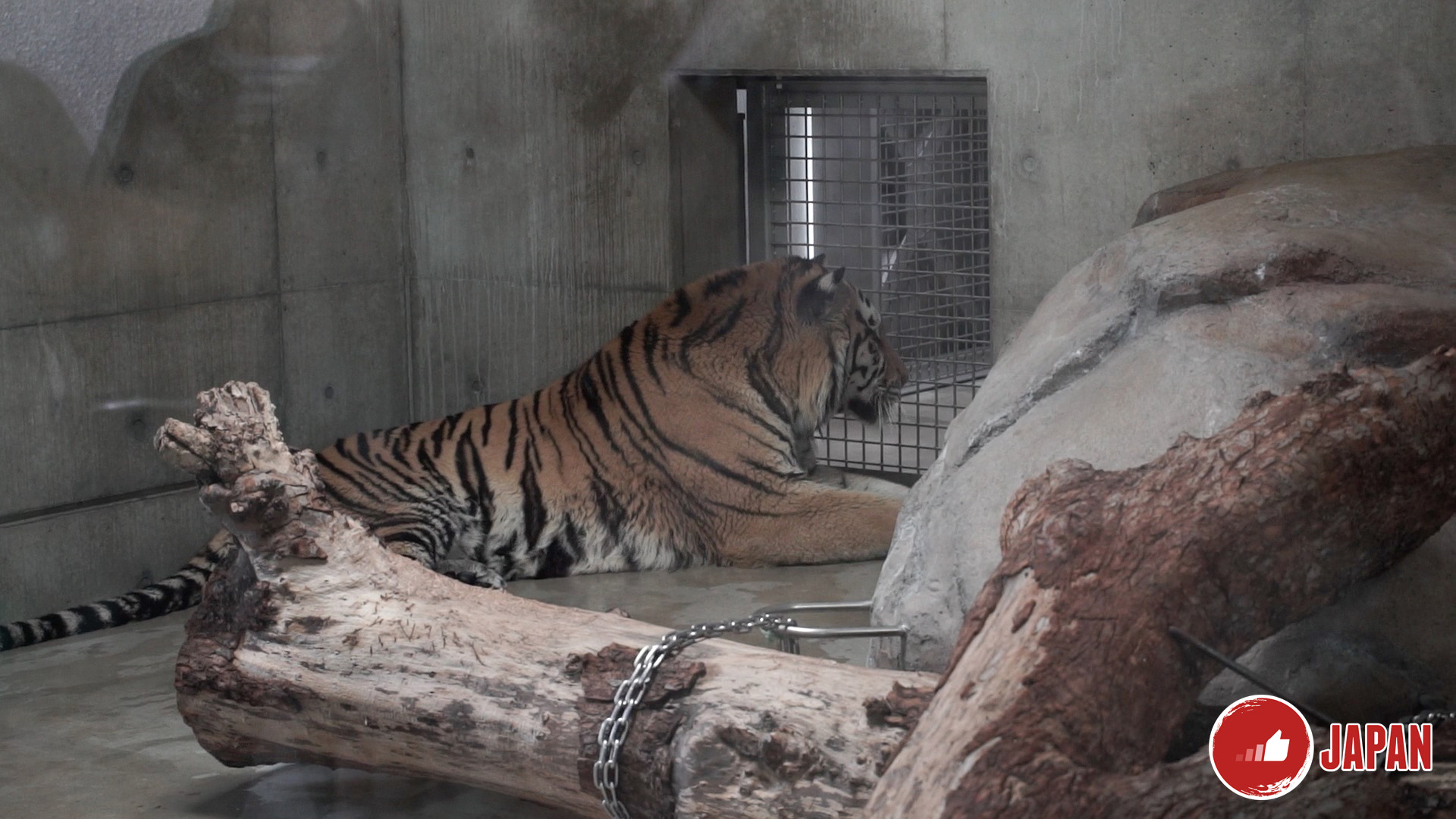 【大阪旅遊】大阪周遊卡免費景點推介5－大阪動物園