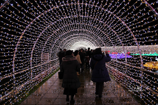晚冬．日本．關西．大阪和姬路