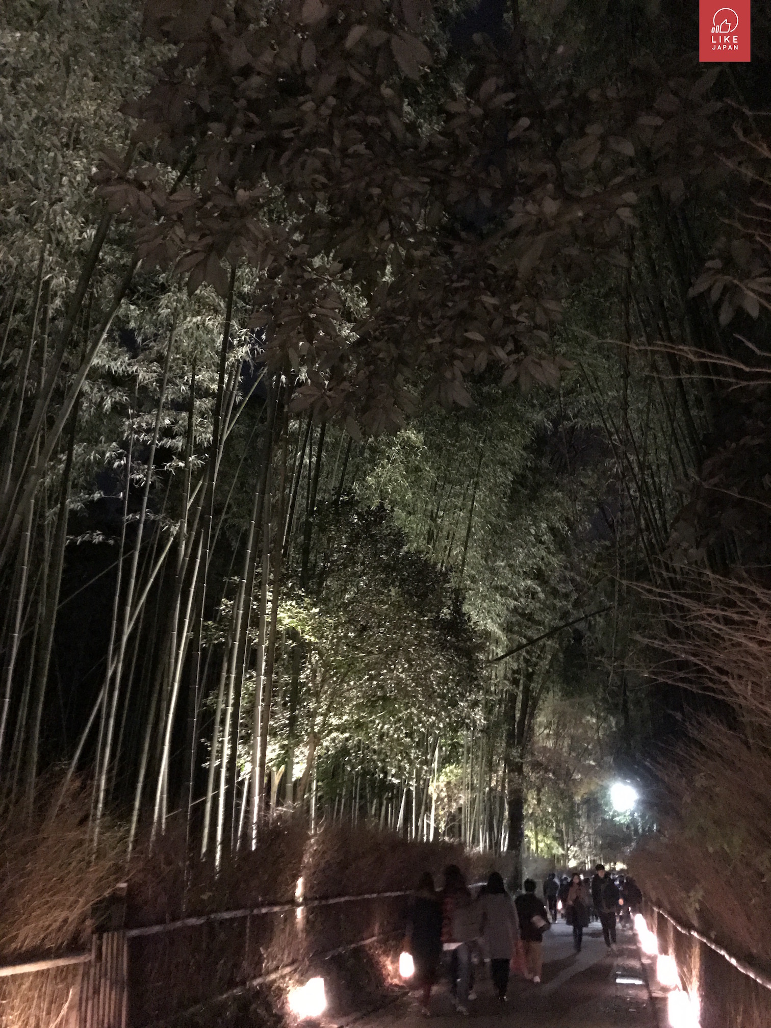 【初心者「觀光懶人包」！】 京都嵐山應該點玩？