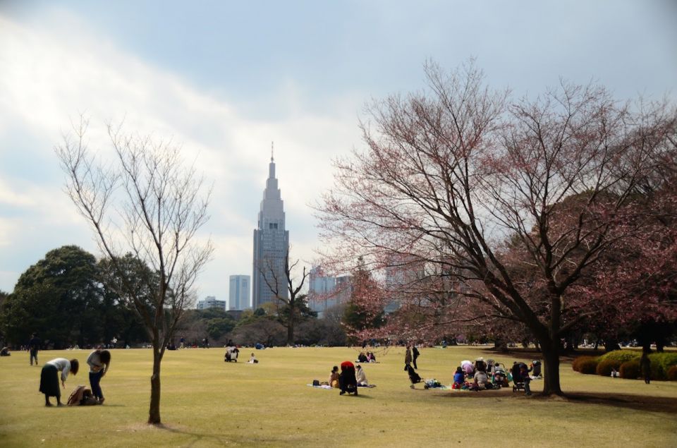 【學日本人「邊野餐邊賞櫻」！】東京市內5大必到推介！