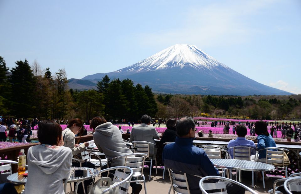 進入「粉紅色夢幻世界」，富士芝櫻祭現場實況！