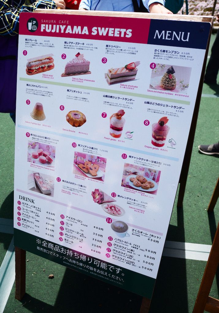 進入「粉紅色夢幻世界」，富士芝櫻祭現場實況！