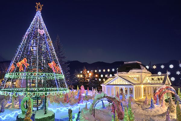 夢幻雪景!北海道冬日燈飾推介