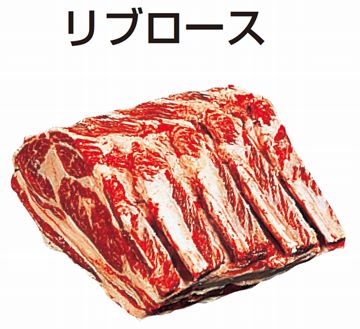 [日本燒肉] 牛肉部位介紹