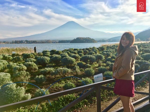 Like Japan 山梨Plan 7 富士山打卡最佳位置 河口湖自然生活館