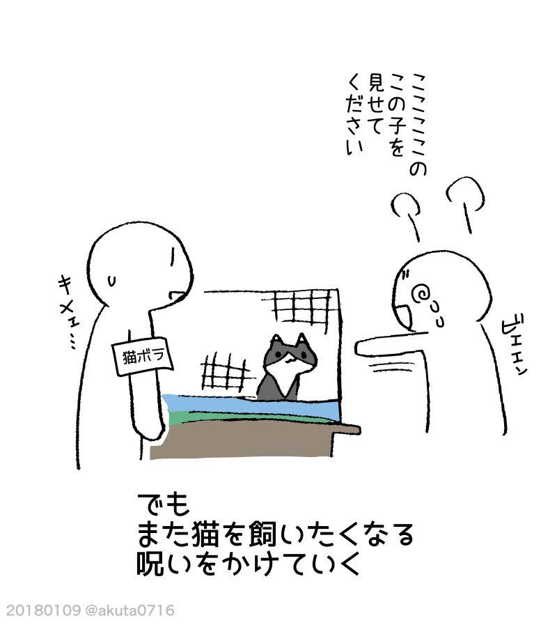養貓其實好辛苦？日本推主與貓感人故事
