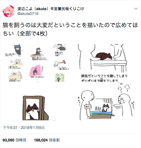 養貓其實好辛苦？日本推主與貓感人故事