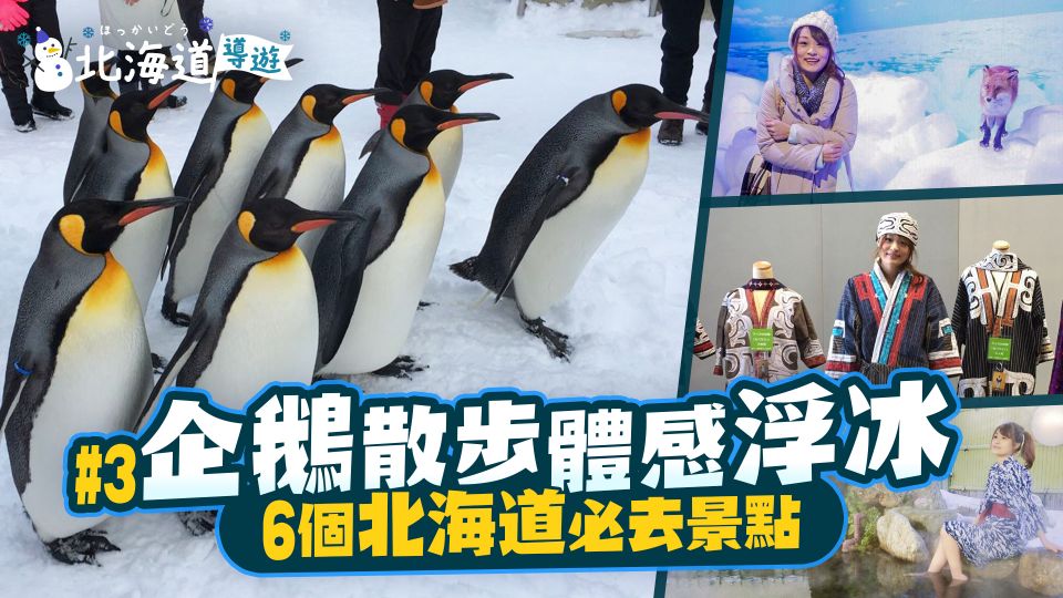 《北海道導遊》EP.3 企鵝散步 體感浮冰 6個北海道必去景點