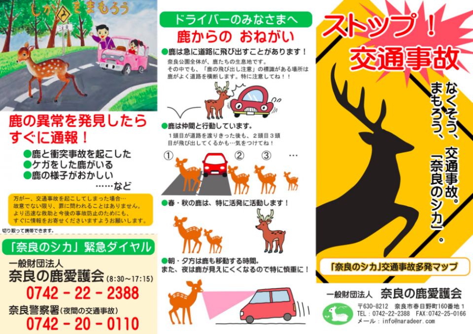 【日本奈良】：唔想被「小鹿亂撞」？睇鹿5個注意事項！