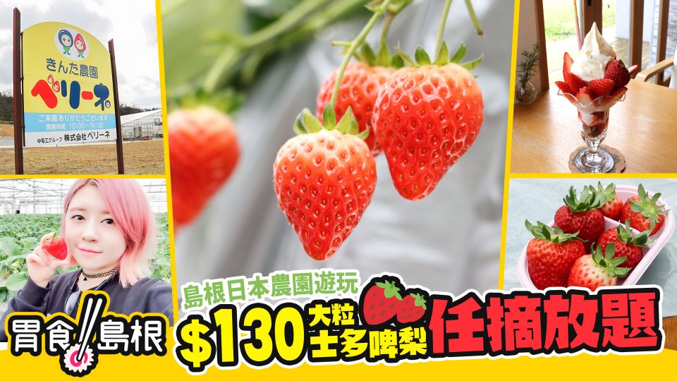 《胃食島根》：島根日本農園遊玩 $130大粒士多啤梨任摘放題