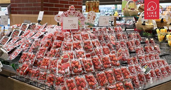 日本平民必去綜合超市 ItoYokado食品 藥妝 日用品逛街攻略