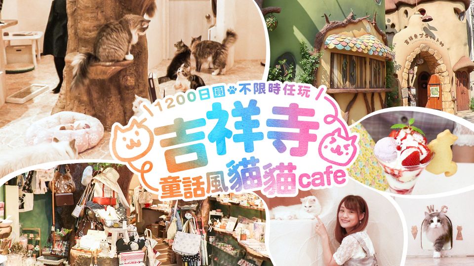 吉祥寺童話風貓貓Cafe 1200日圓不限時任玩！
