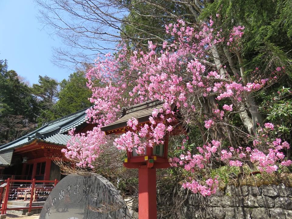 日光周遊PASS教學！ 溫泉+神社+寺廟東京出發！