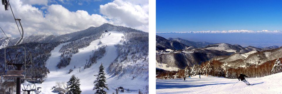 [志賀高原]大自然中的別墅—推薦給喜歡雪山絕景的你：白樺莊酒店