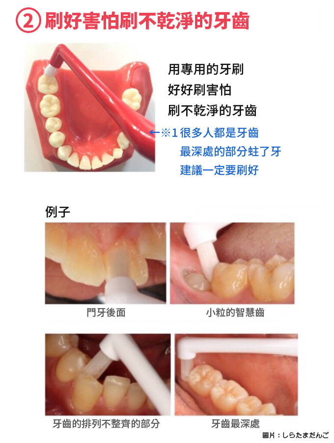 你可能不知道的正確刷牙方法！日本網上熱傳專業牙科口腔衛生師真心分享