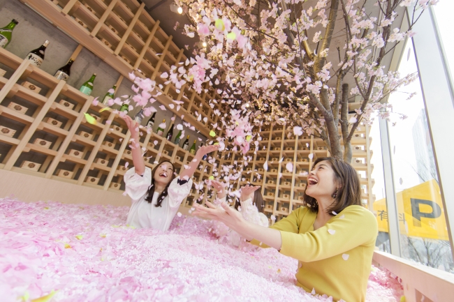 東京表參道 日本櫻花花瓣池酒吧 被120萬塊櫻花花瓣掩蓋