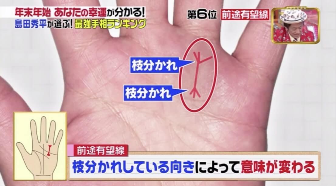 日本節目教你看手相 7個幸運掌紋