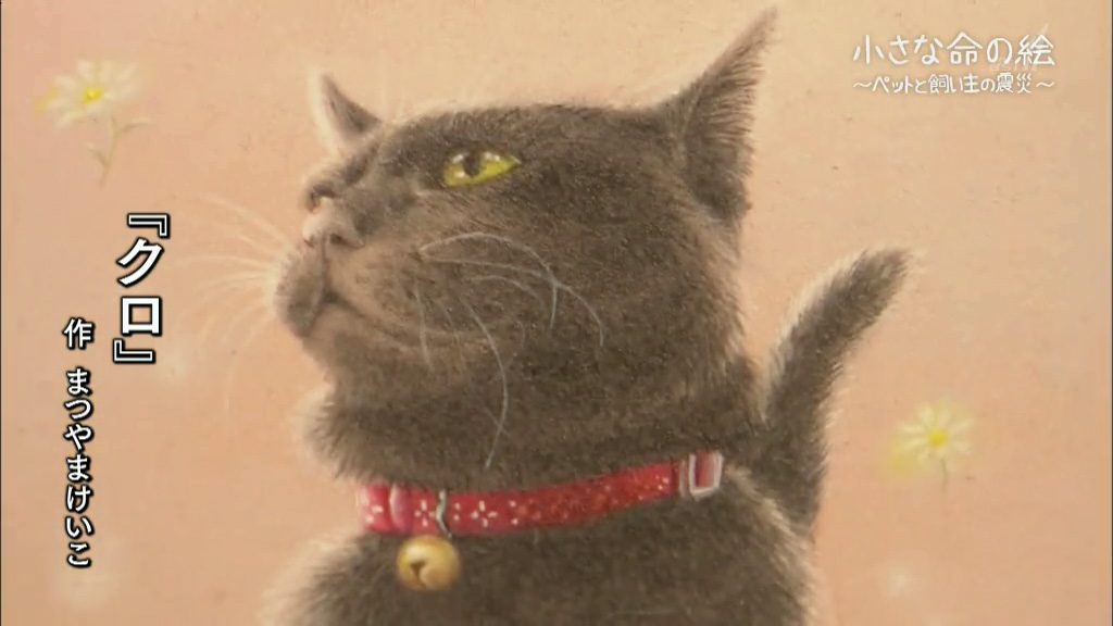 為喪命海嘯的貓狗辦畫展  給「主人」送上哀悼及勇氣