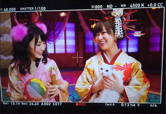 我在AKB48指原莉乃與宮脇咲良身上看見「日商育才」的縮影（上）