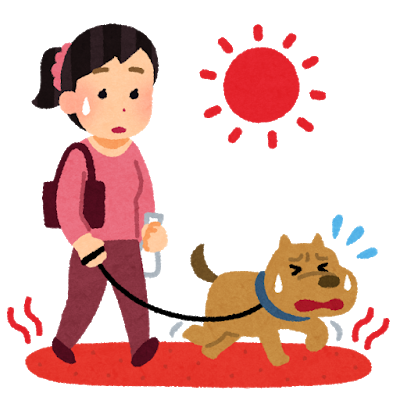 炎炎夏日 寵物也會中暑！日本警視廳災害對策課 貓狗中暑處理小教學