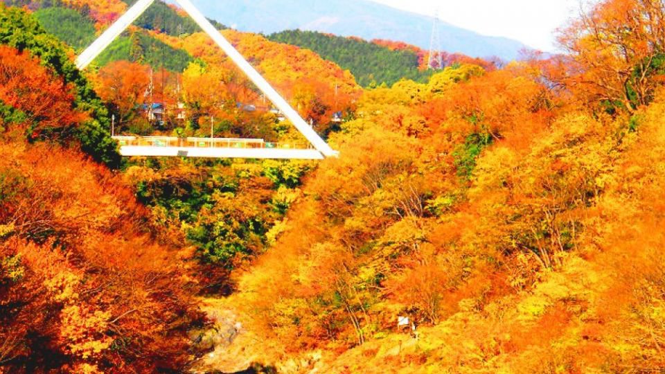 【日本紅葉2019】東京近郊 4個紅葉景點介紹