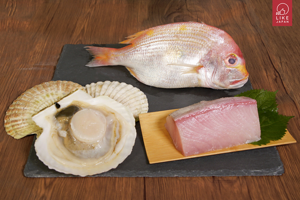 除了三文魚之外，你不可不知道的日本營養海產！ 以後到壽司店就決定點你們了～