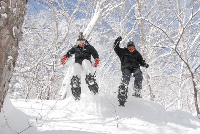 滑雪天堂！精選北海道4大滑雪場 體驗滑雪者最愛高品質粉雪