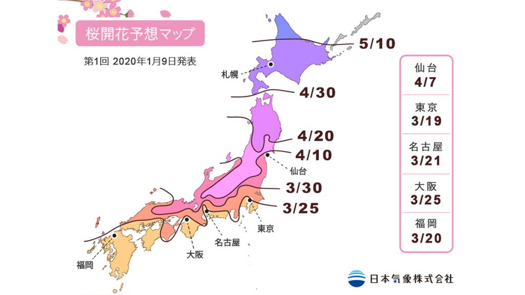  2020年日本櫻花開花/盛開第1次預測 東京將會比過往早一星期開花！