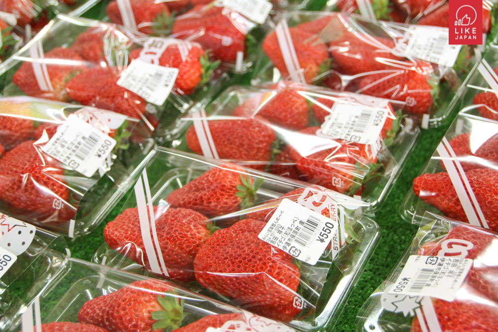 福島吃貨之旅！香甜草莓．番茄．冬菇 | 美味天上米．福島牛