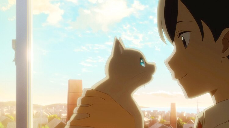 動畫電影《想哭的我戴上了貓的面具》6月18日Netflix上架 闖進可愛貓咪的世界尋找自我的青春物語