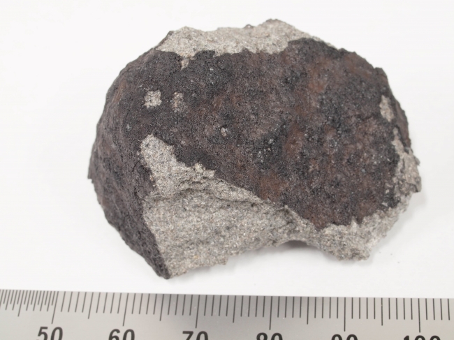  7月12日：真．大海撈針！  已成功找到隕石碎片！ 東京上空巨大火球