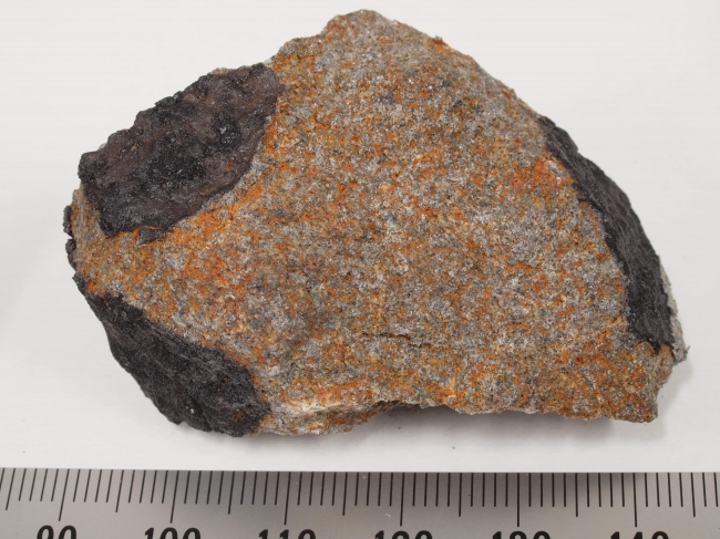  7月12日：真．大海撈針！  已成功找到隕石碎片！ 東京上空巨大火球