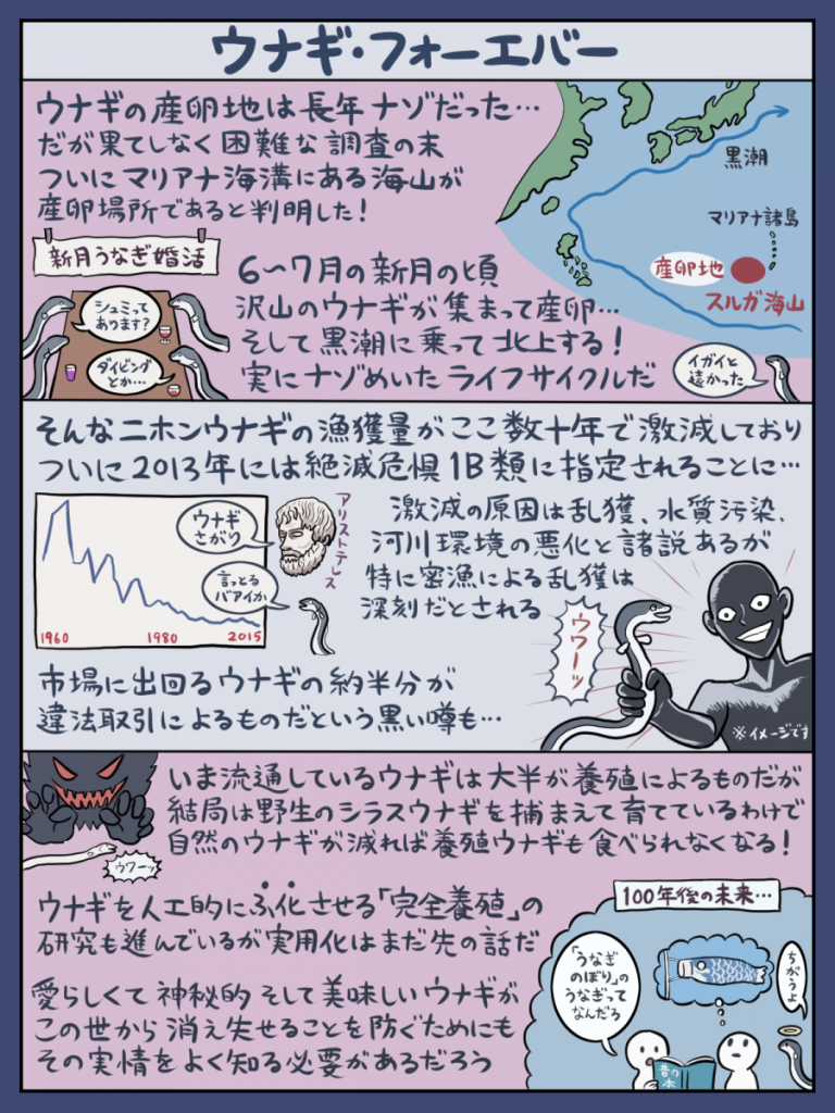 鰻魚分析大解構 日本天然產鰻魚已成瀕危物種！