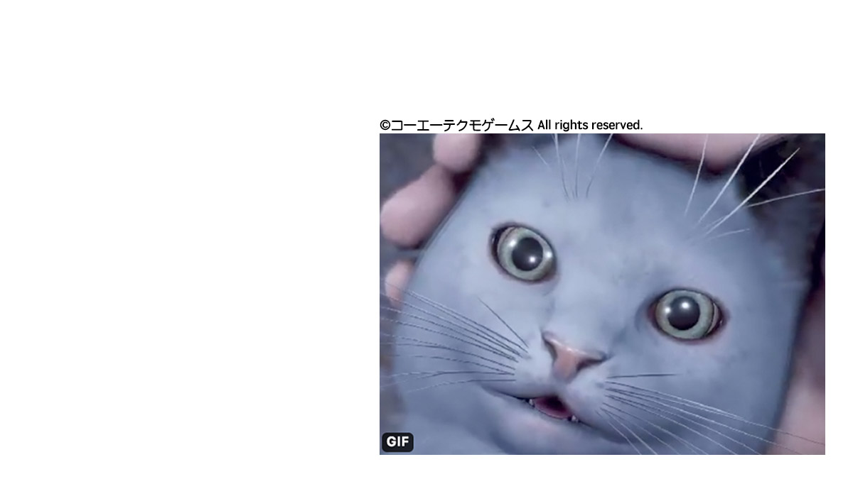 日本忍者的不得了秘密：透過看貓貓瞳孔確認時間