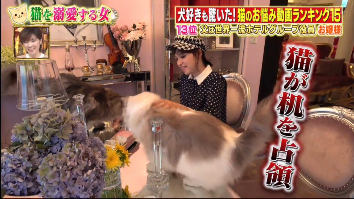 來自香港的真千金小姐 再登上日本電視節目：到訪千金主子的家 看超級名流生活