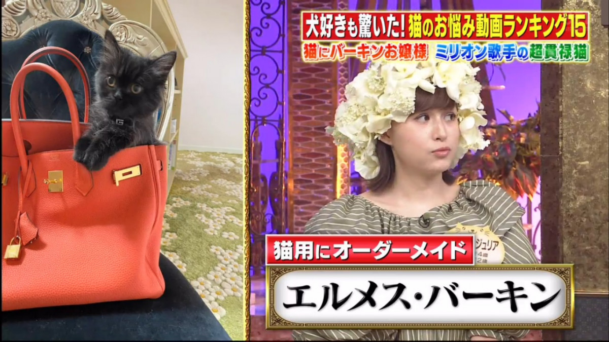 來自香港的真千金小姐 再登上日本電視節目：到訪千金主子的家 看超級名流生活