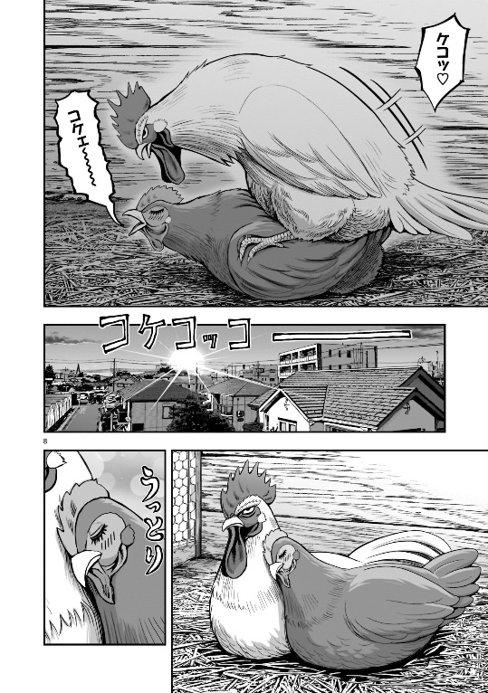 超搞怪新番漫畫《公雞戰士 ニワトリ・ファイター》：主角是戰鬥力高強的公雞浪子？！