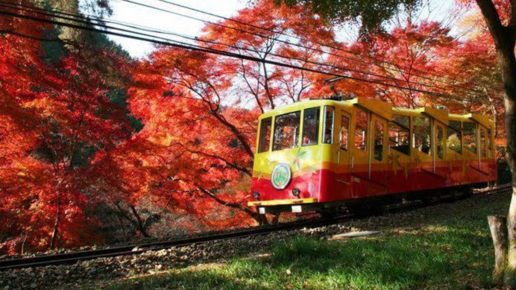 高尾山一日遊｜高尾山紅葉祭2023＋一日券交通＋景點美食攻略！