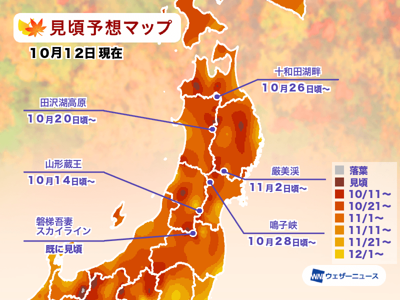 日本全國紅葉情報2023！最佳賞楓時間預測 最早11月上旬＋紅葉名所排名