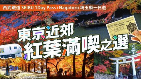 東京近郊紅葉滿喫之選：西武鐵道SEIBU 1 Day Pass + Nagatoro埼玉縣世外桃源一日遊