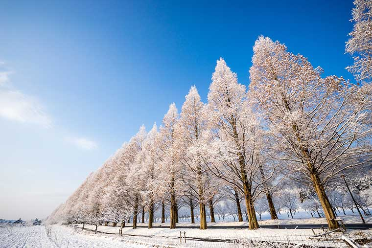 日本冬季絕景｜10個人生必訪景點！人間仙景般的白川鄉/銀山溫泉 