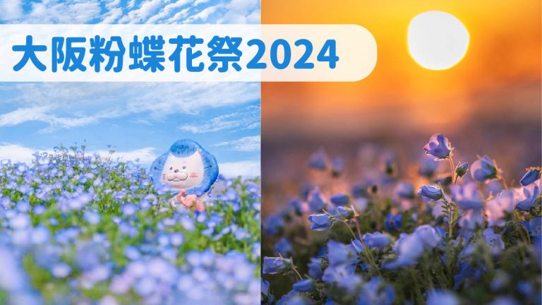 大阪粉蝶花祭2024